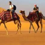 Camel and Horse Riding
