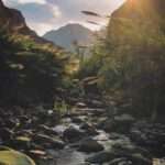 Wadi Wurayah National Park